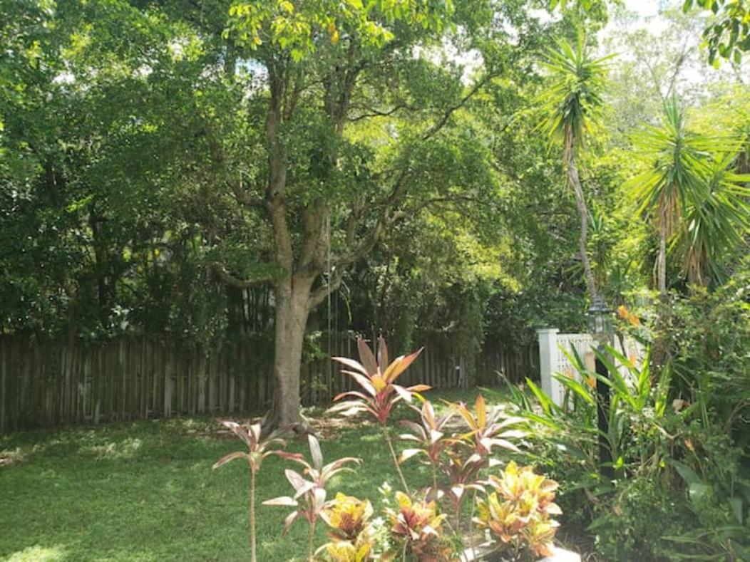 Apts With Backyard Near Fort Lauderdale Beach, Nightlife, Cruise Port, Airport Exterior foto